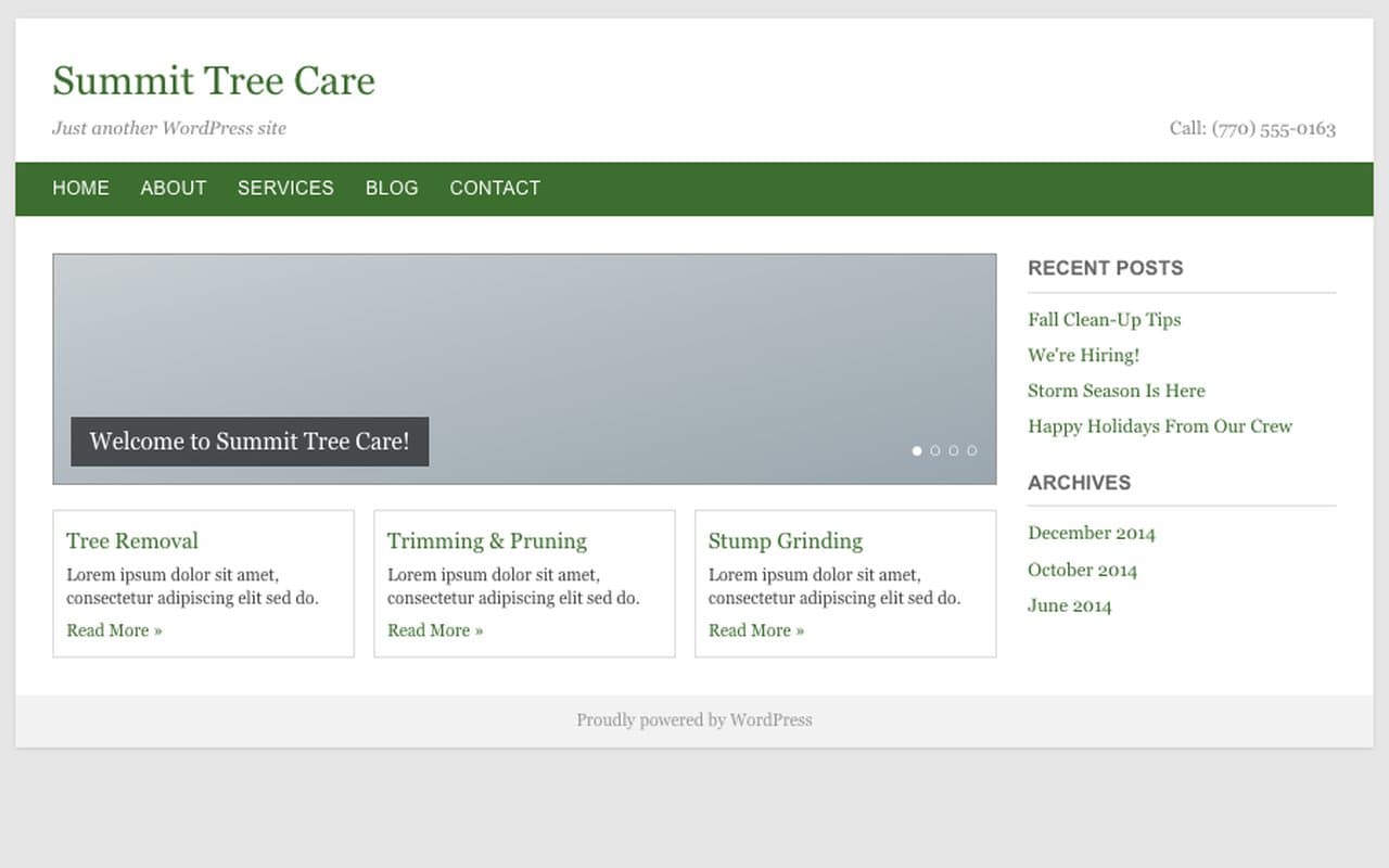 Summit Tree Care: before renovation